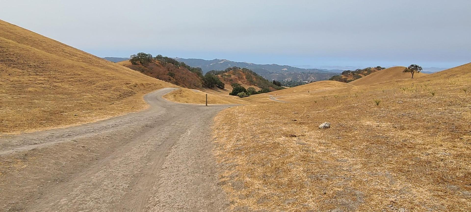 A dirt road winds through rolling golden hills under an overcast sky.
