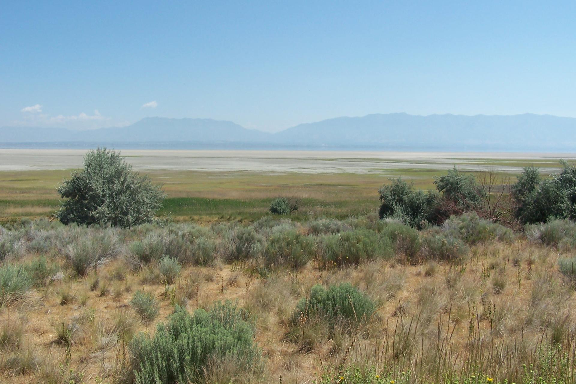 Expansive dry landscape with shrubs, a distant lakebed, and hazy mountains under clear skies.