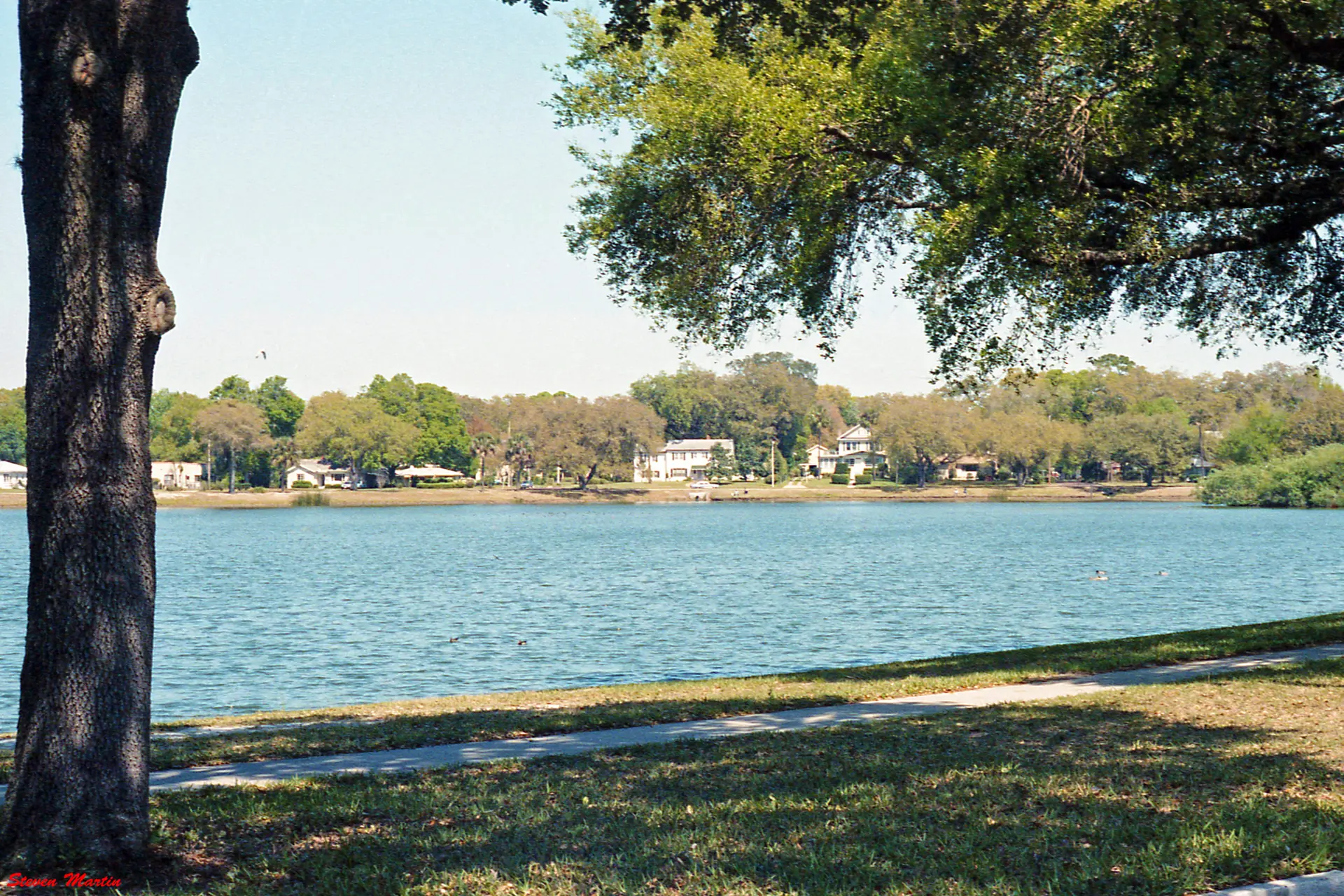 Serene lake with distant houses and trees, framed by a large tree trunk.