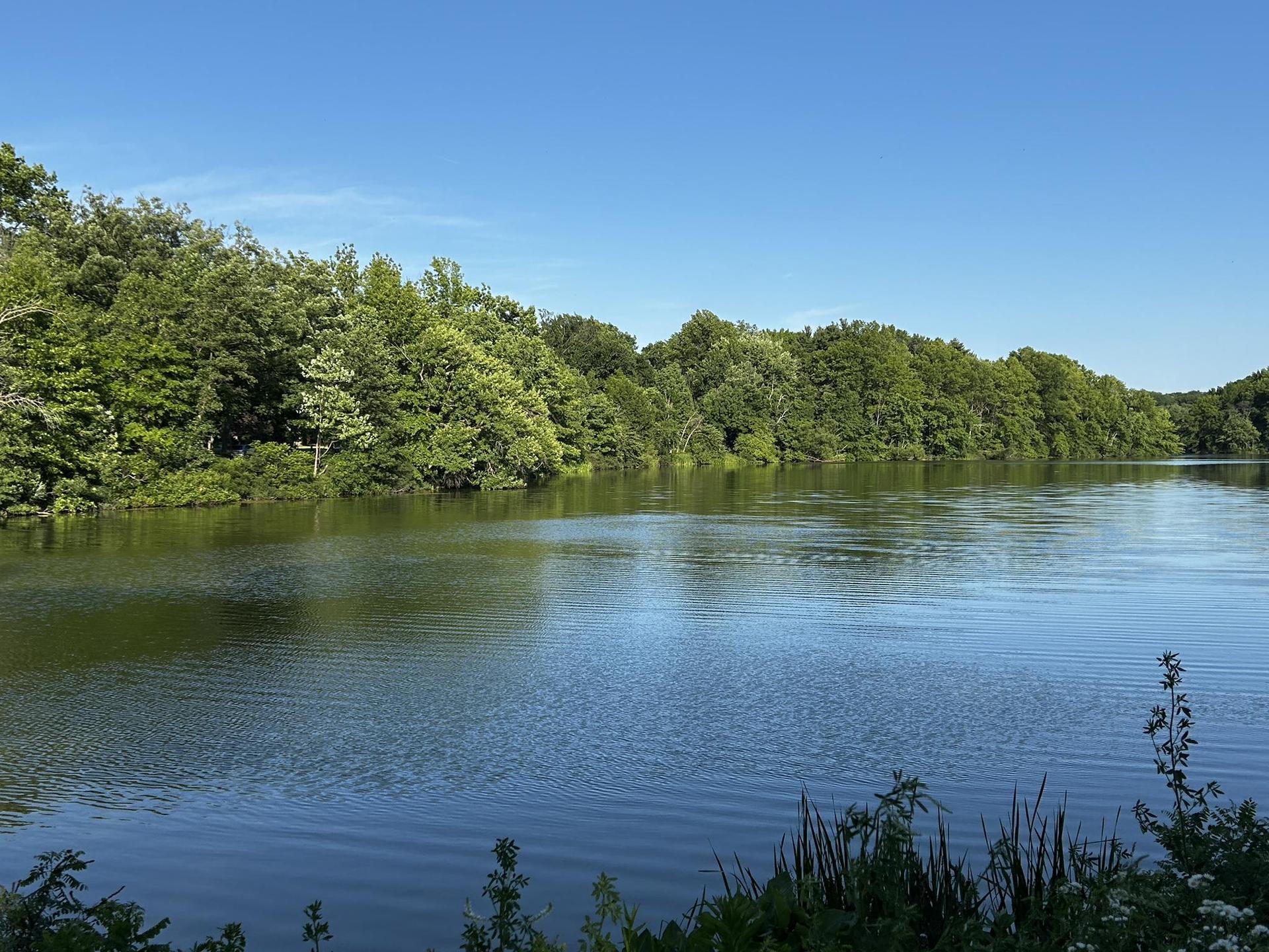 Calm blue water reflecting green trees under a clear, bright blue sky.