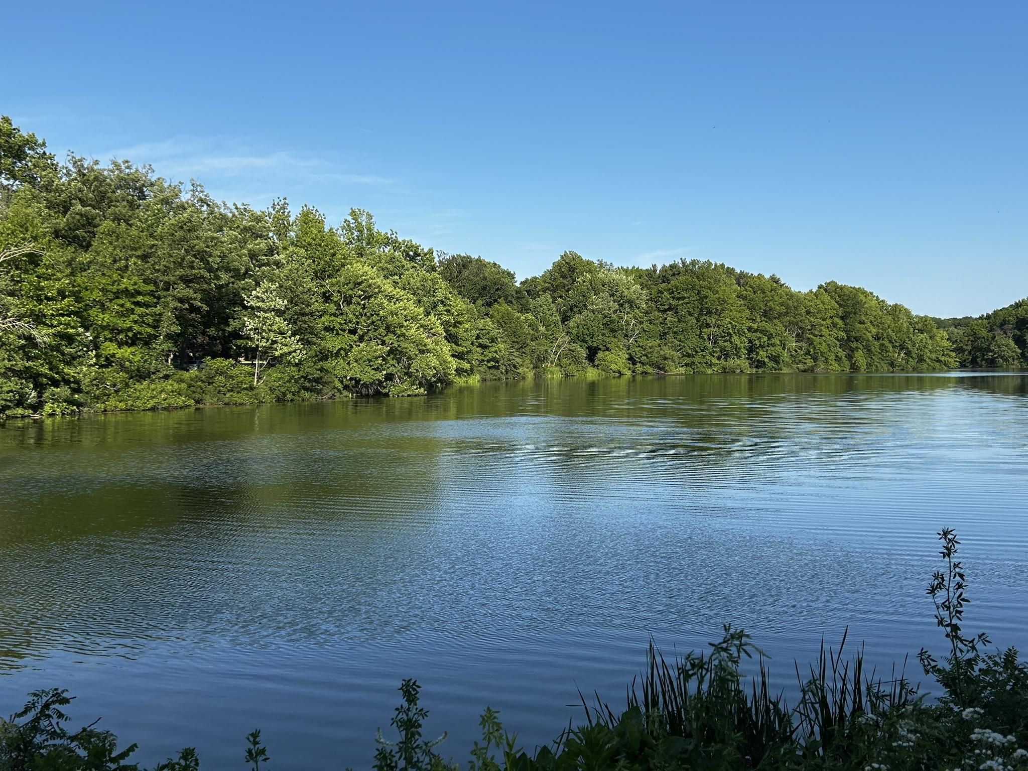 Calm blue water reflecting green trees under a clear, bright blue sky. - Euclid Creek Reservation Loop