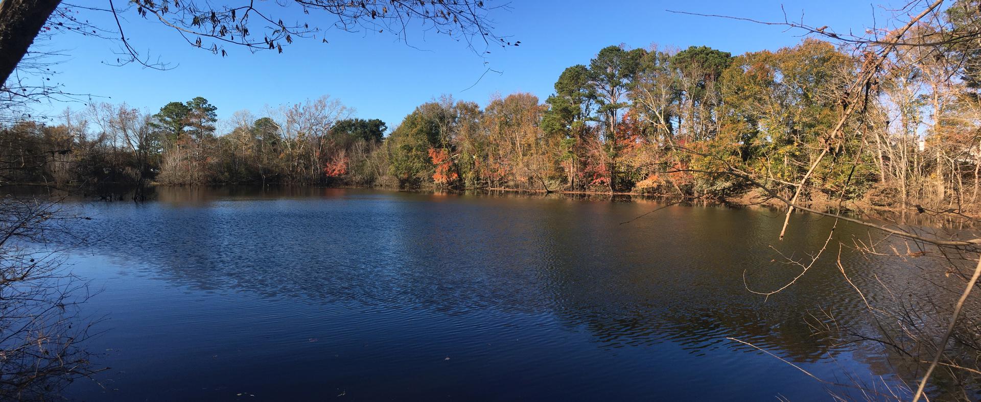 Calm lake reflecting clear blue sky, surrounded by autumn trees under bright daylight.