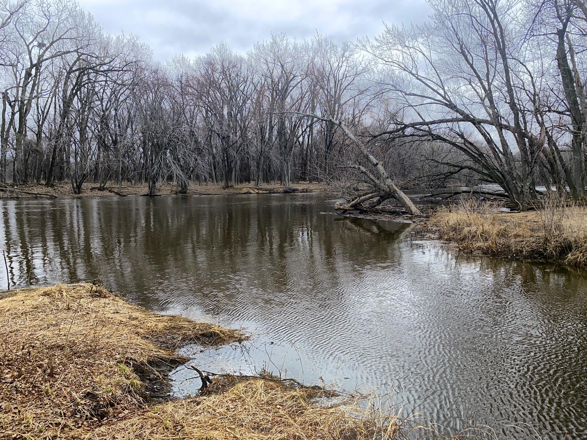 Overcast day, a river flows past bare trees and dry grass.