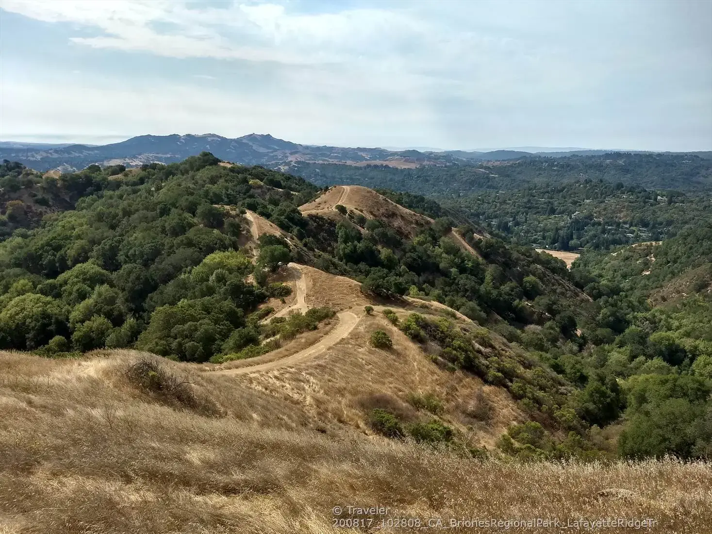 Rolling hills covered in dry grass and green trees under a partly cloudy sky.