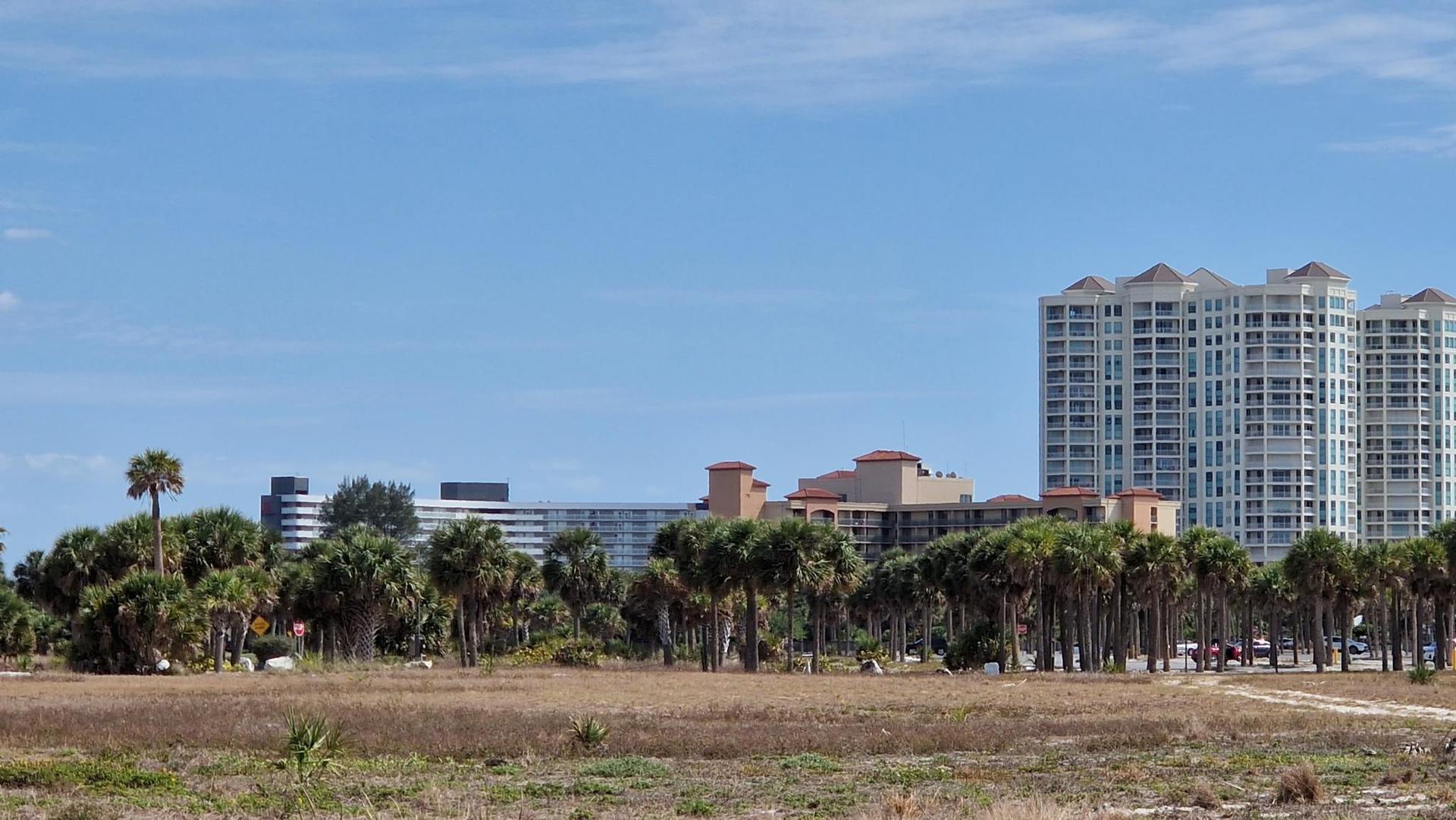 Tall buildings and palm trees behind a dry, grassy field under clear skies.