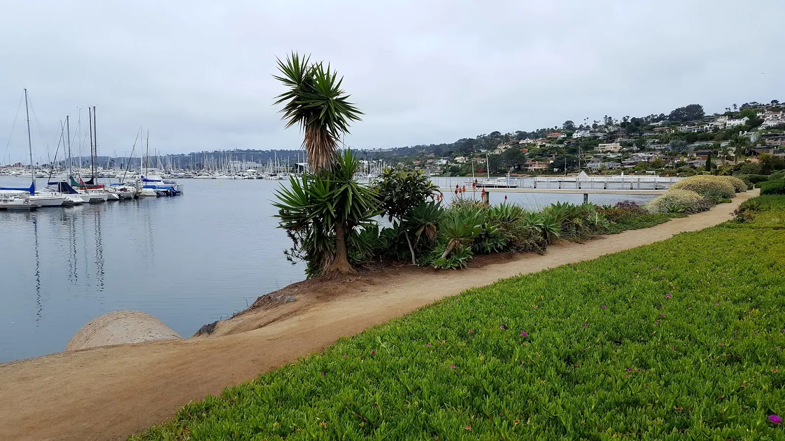 Overcast view of a marina, green path, and distant people on a pier.