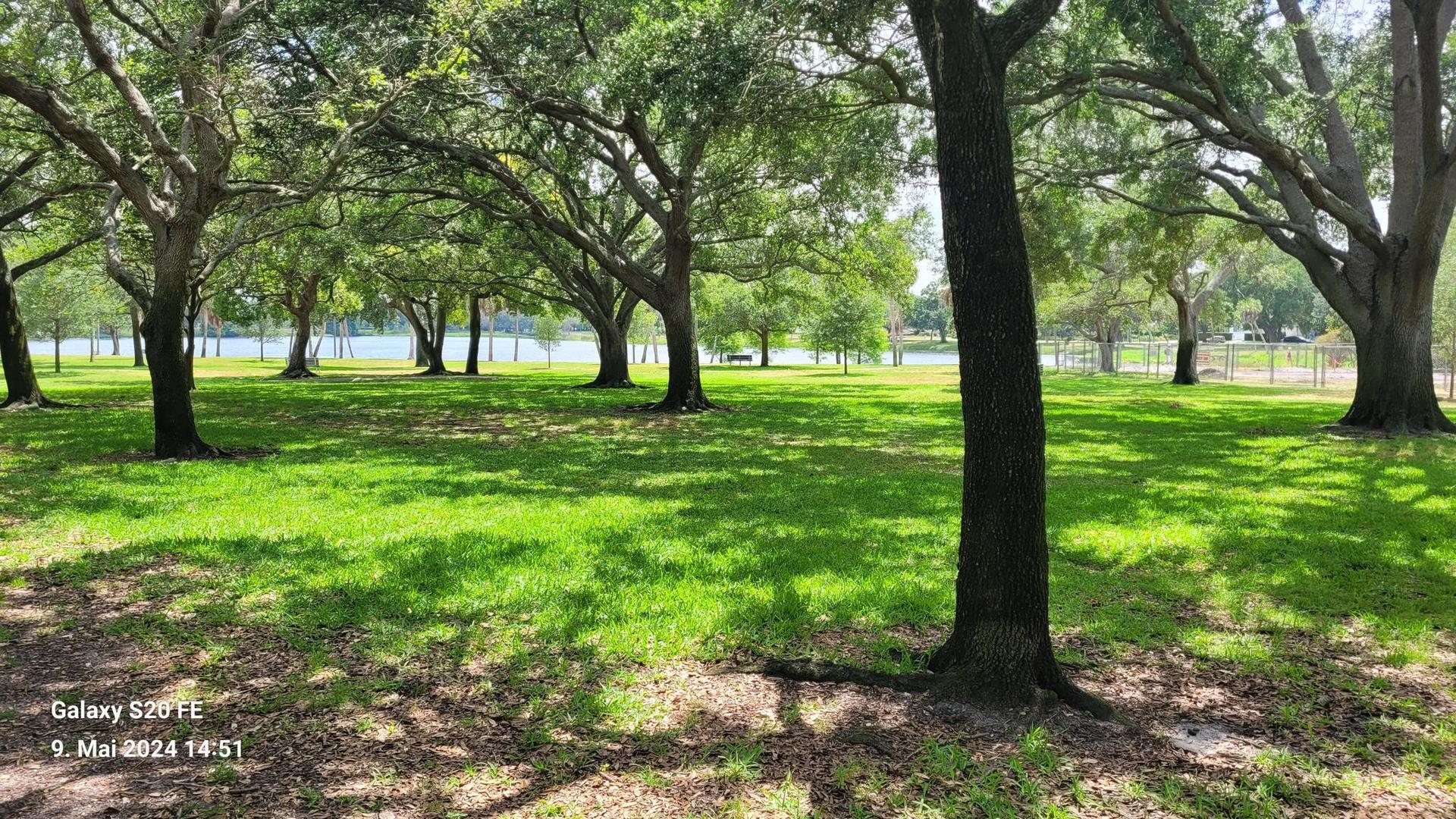 A sunny park with many large trees casting shadows on bright green grass.