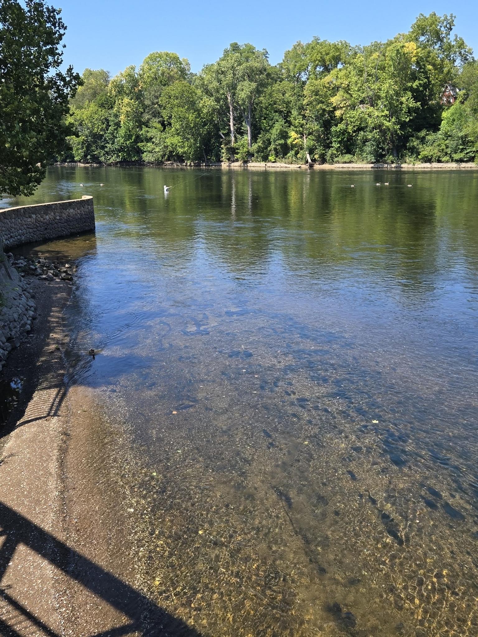 Clear, shallow river with green trees and a stone wall on a sunny day.