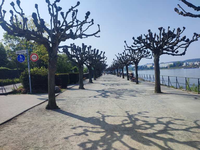 Komoot-Vorschau: Beuel Riverfront Promenade – Hiking & Cycling Routes | Komoot