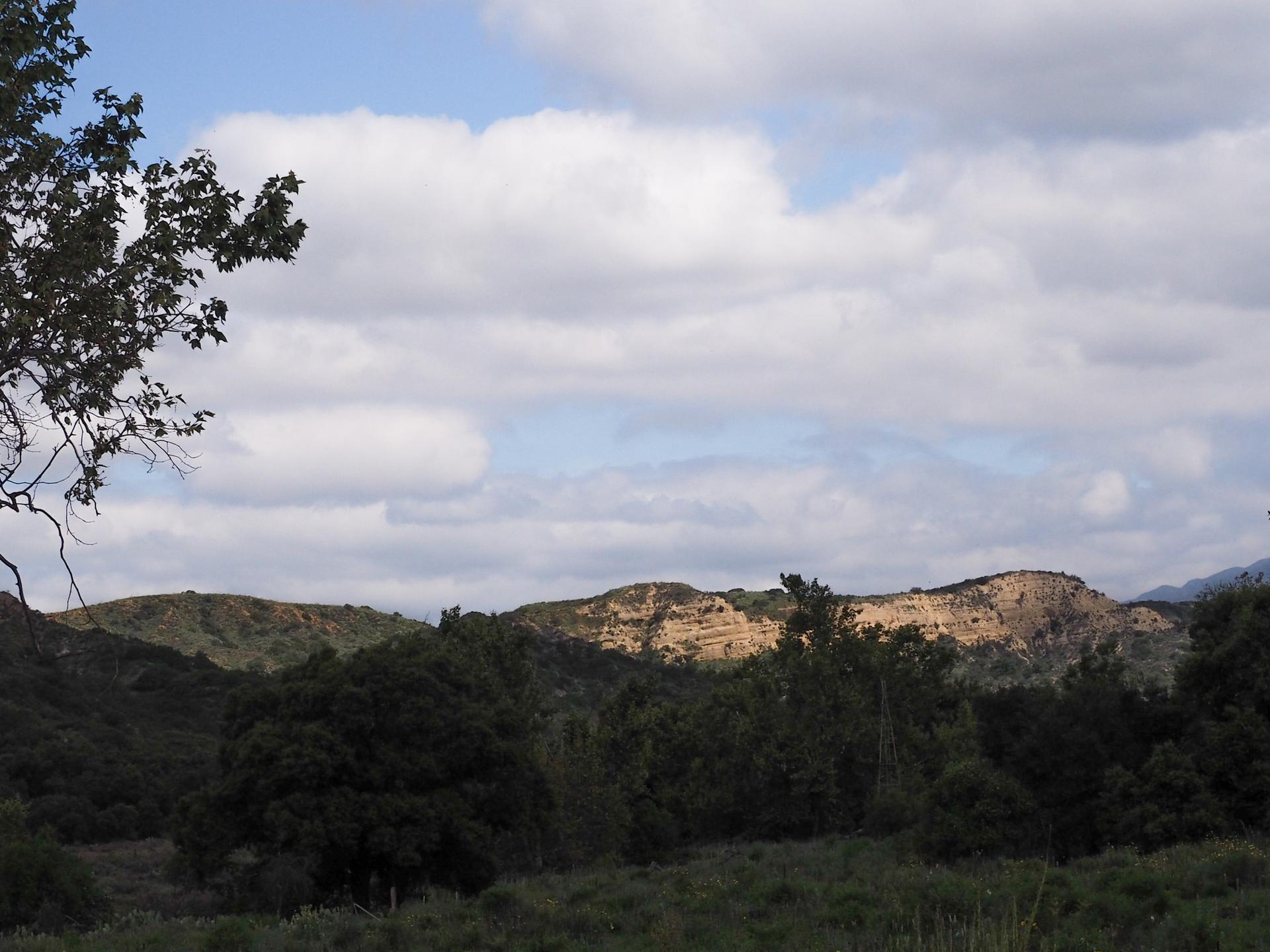 Hilly landscape with dark trees and exposed rock formations under a cloudy sky.