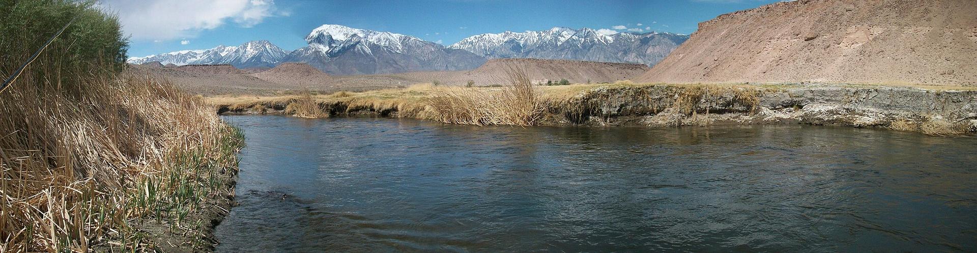 A calm river flows past tall grass with snow-capped mountains in the distance.