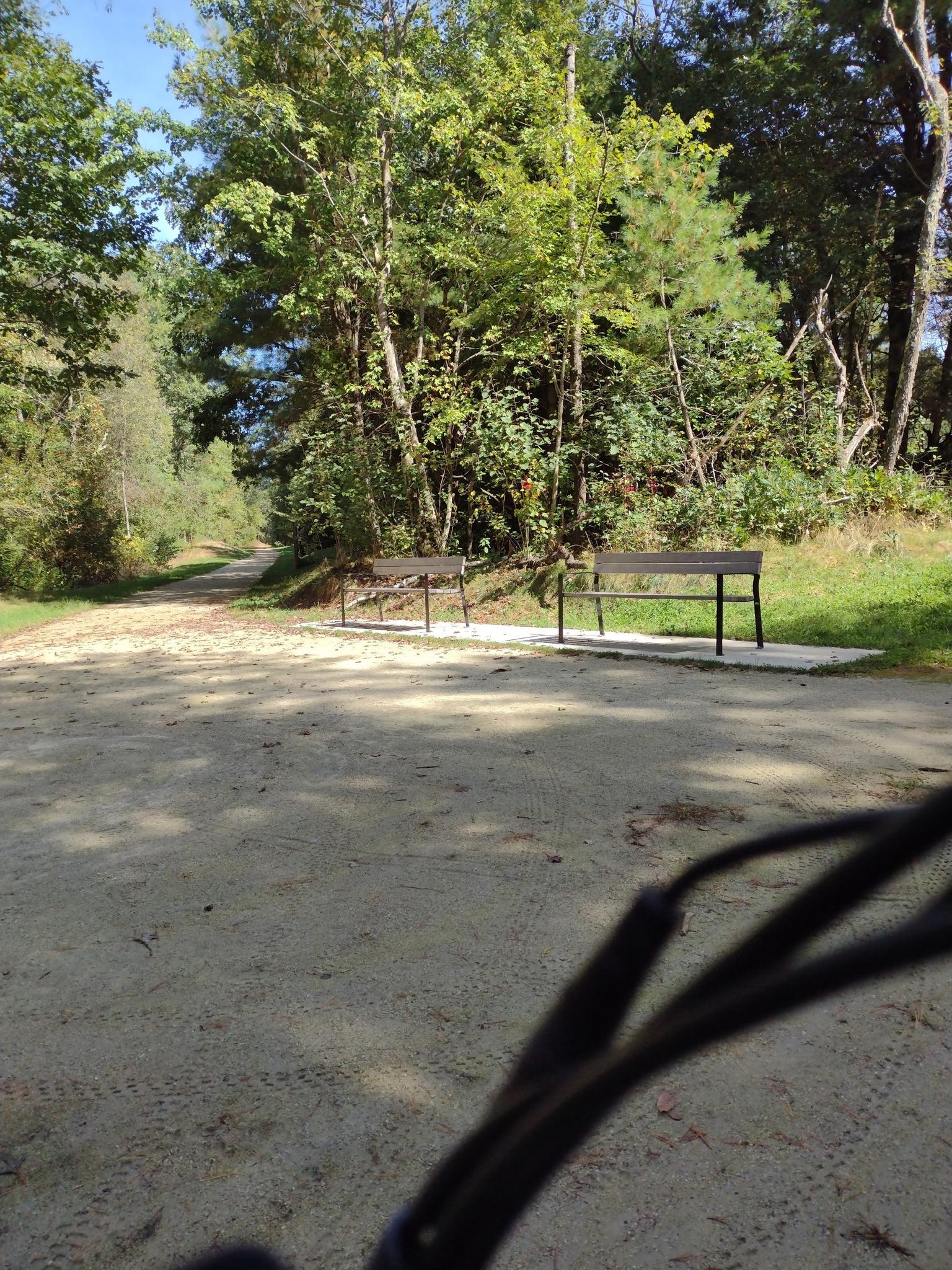 Two empty benches next to a sunny dirt path in a wooded area.