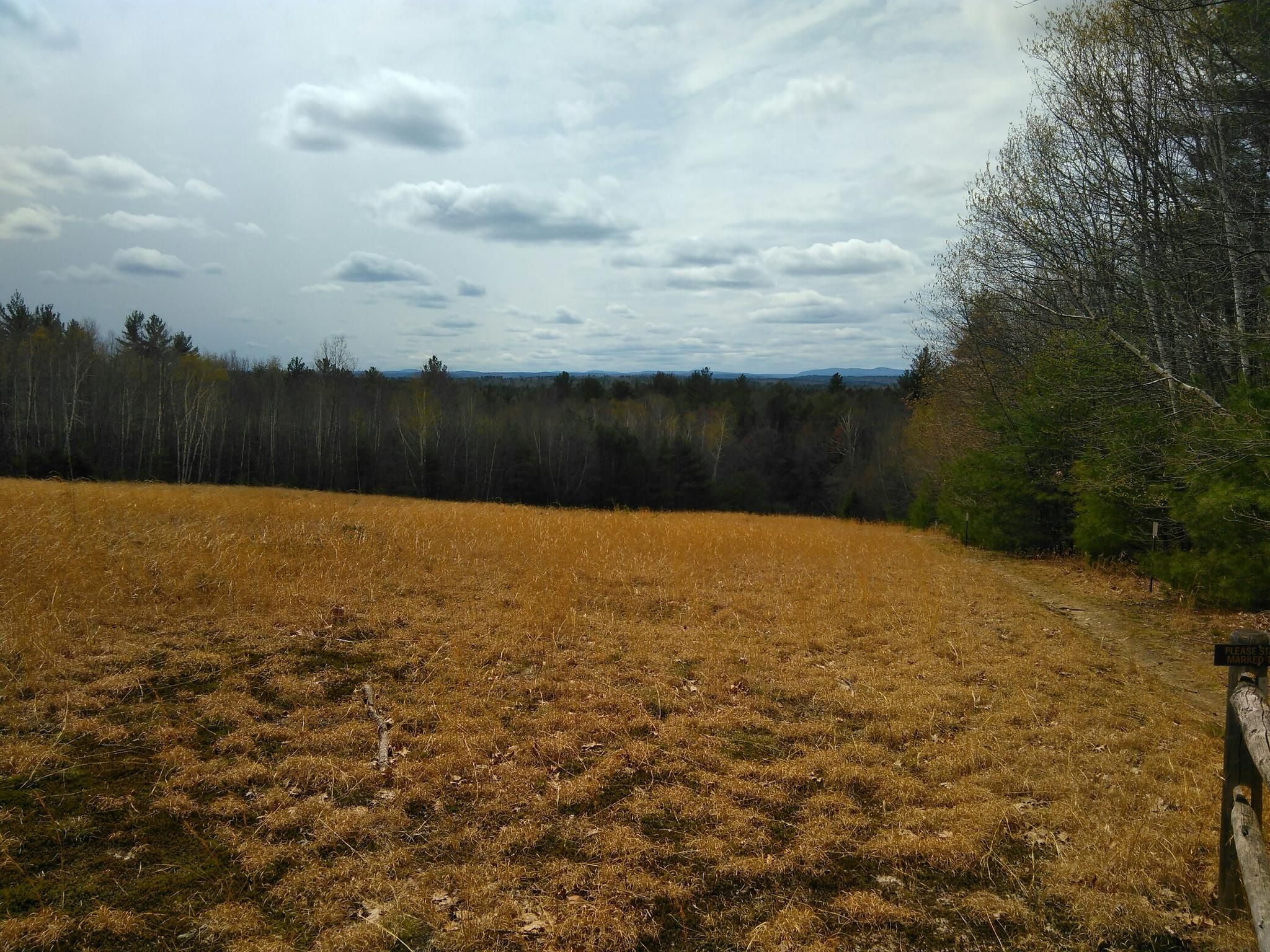 Expansive golden field under a cloudy sky, bordered by a dark forest. - Challenging MTB Loop