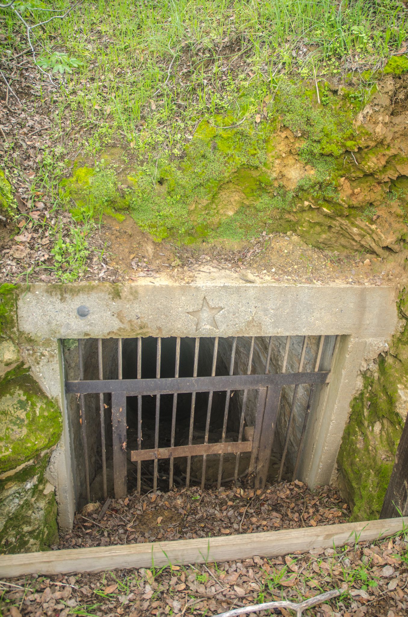 A dark, gated mine entrance in a mossy, earthy bank. - Star Mine Trail
