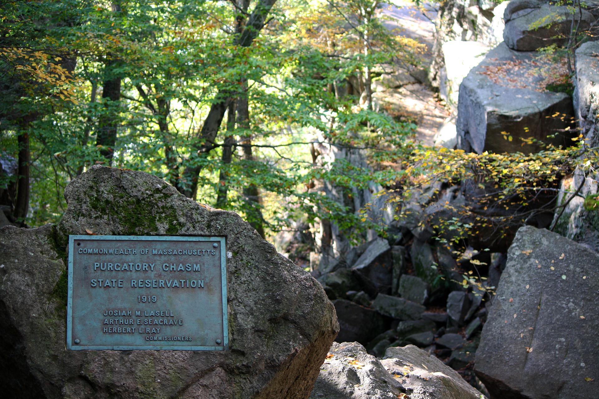 A metal plaque on a large rock in a sun-dappled, rocky forest.