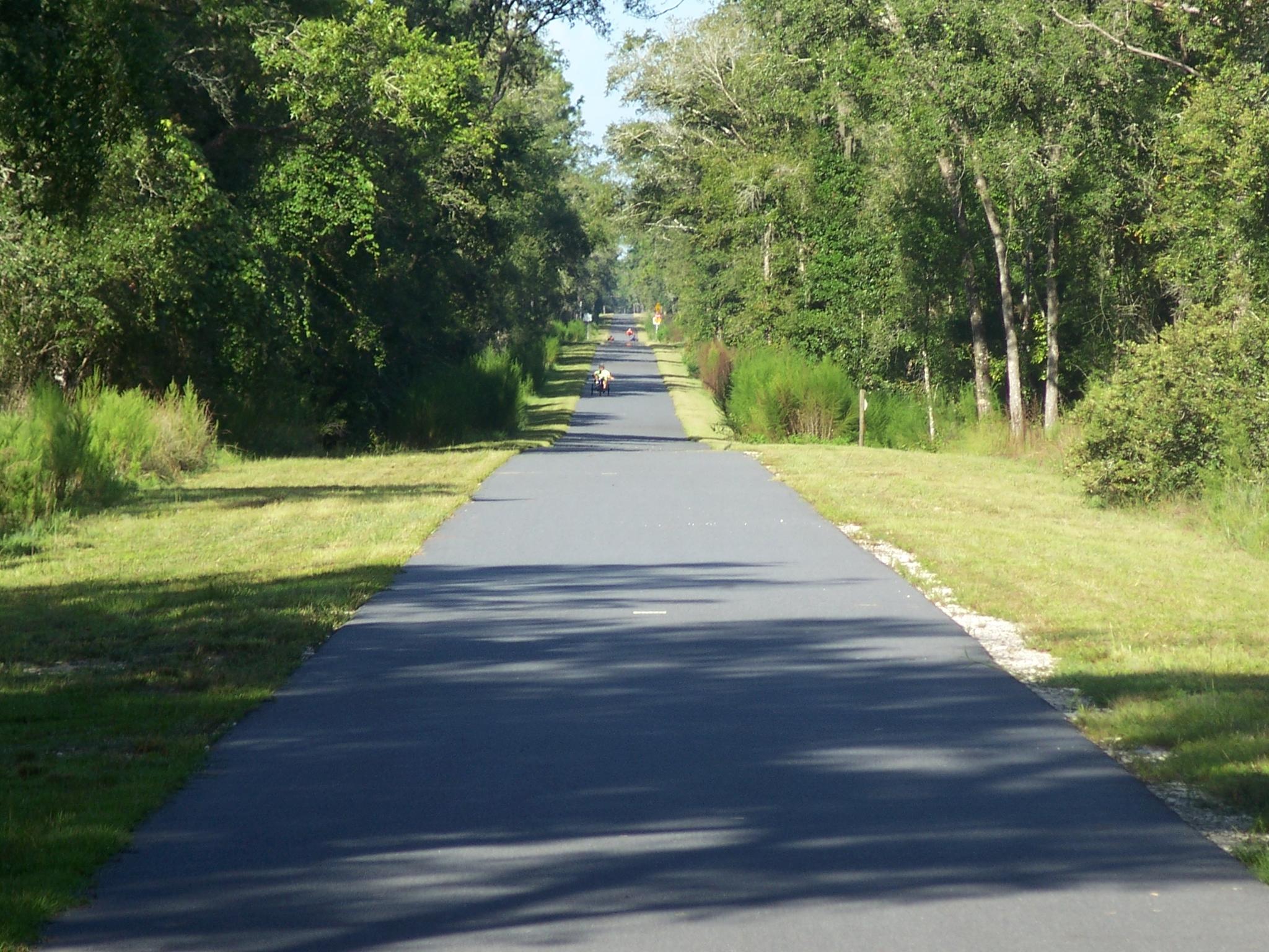 Sunny paved path stretching into the distance through dense green trees.