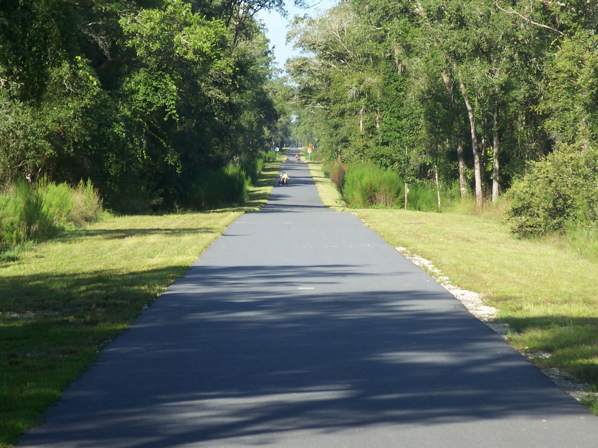 Sunny paved path stretching into the distance through dense green trees. - Good Neighbor and Withlacoochee State Trail Loop