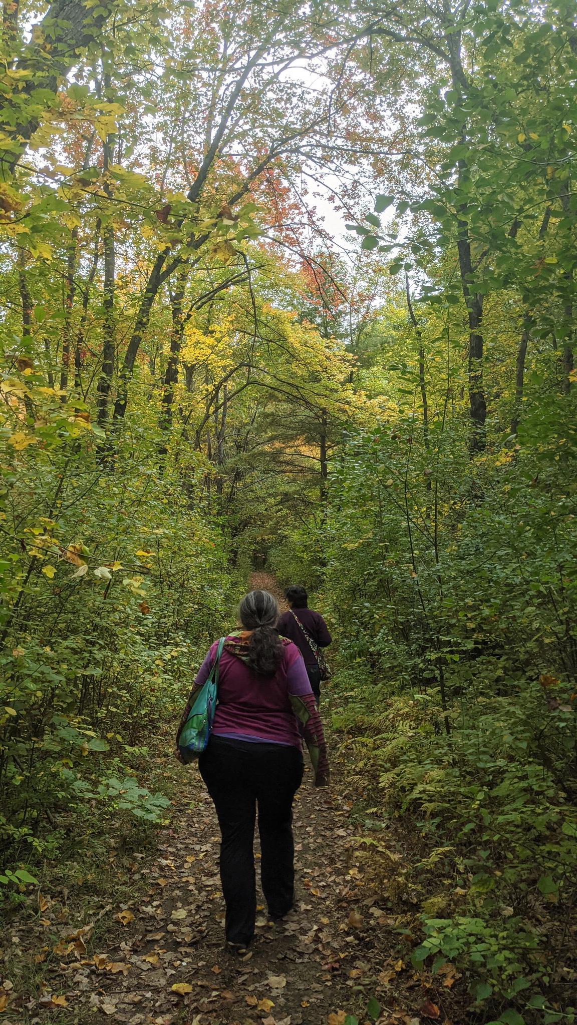 Two people walk on a leafy path through a vibrant green and yellow forest.