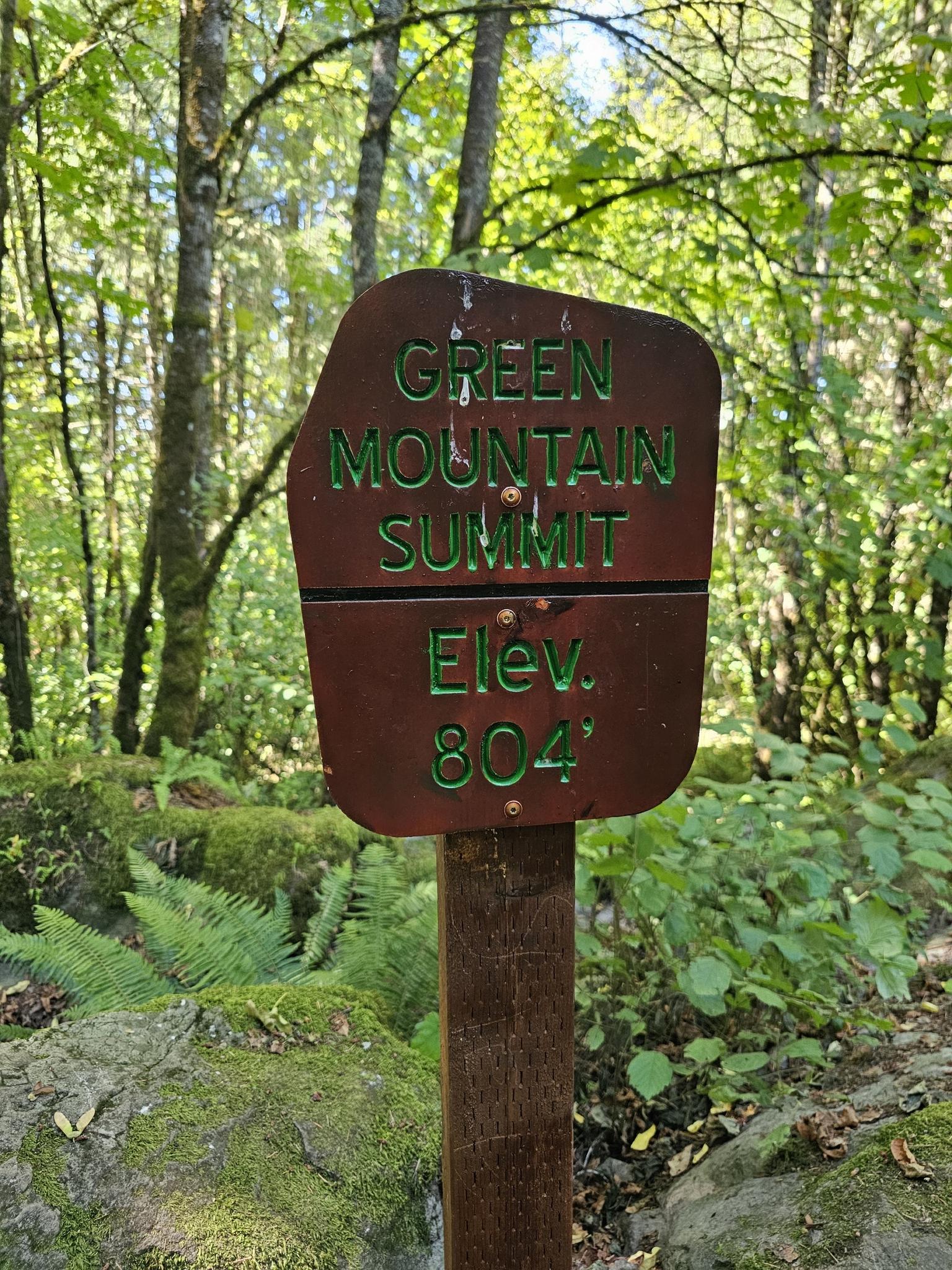 A wooden trail sign in a sunlit forest, indicating a summit elevation.
