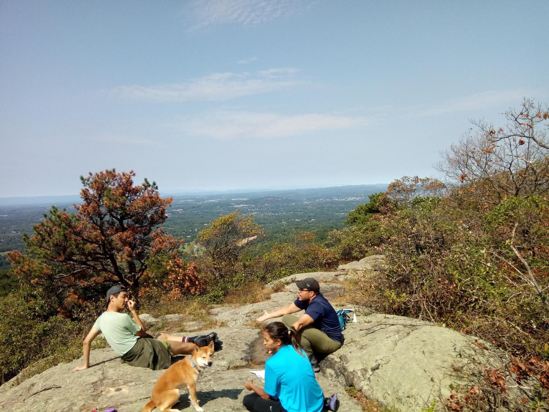 Three people and a dog resting on a sunny rocky outcrop overlooking a valley.