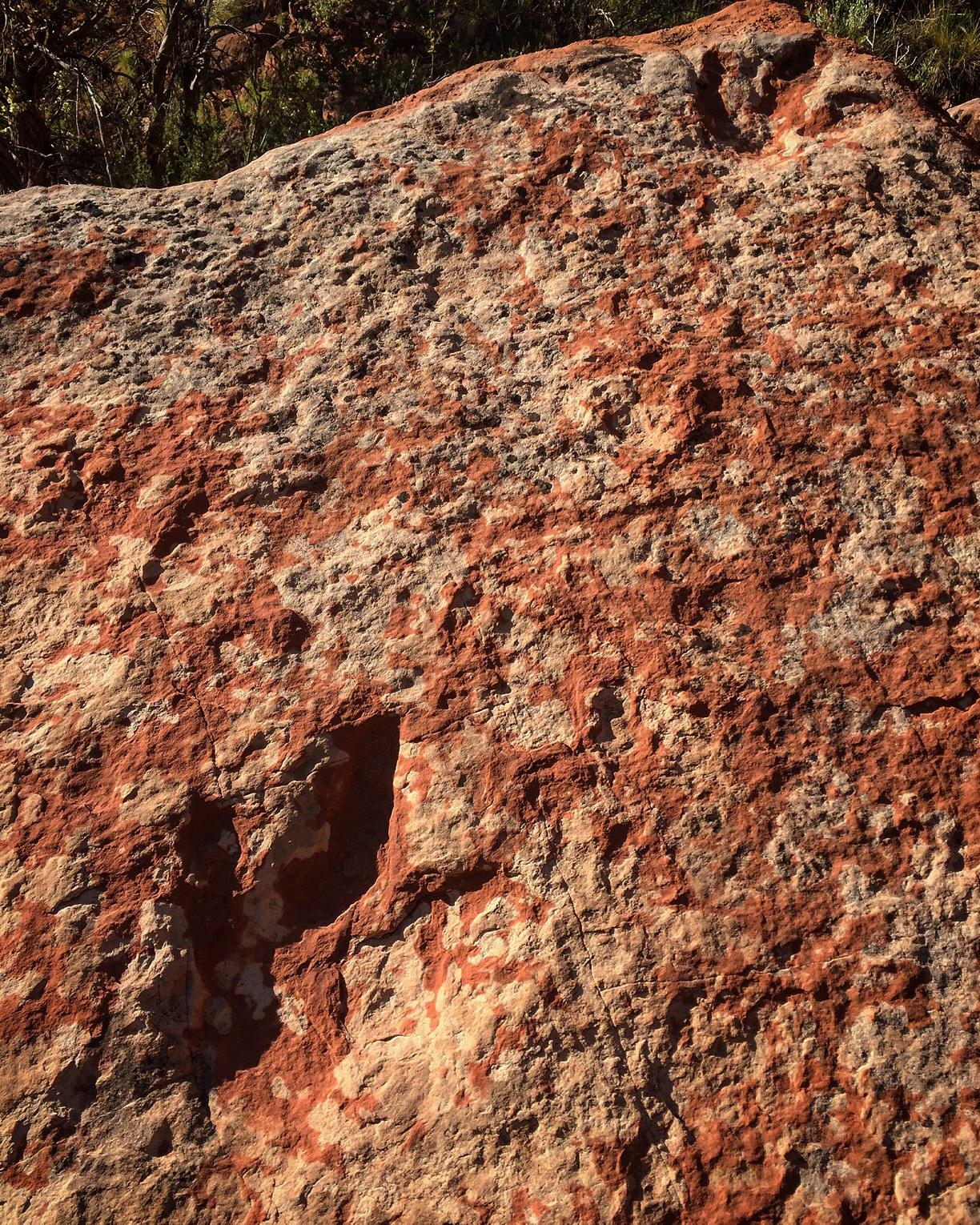 Close-up of textured red and tan rock surface with natural indentations.
