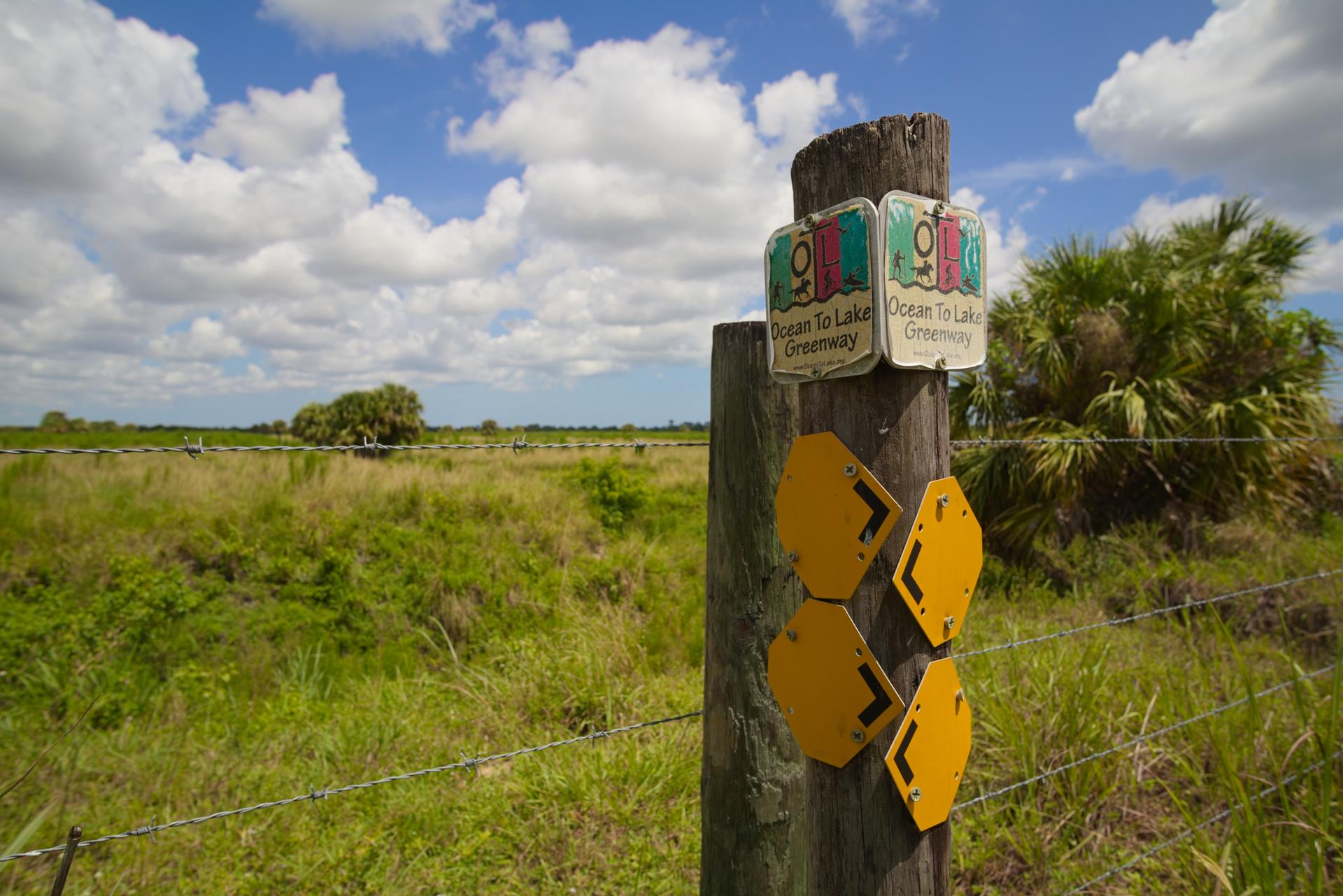 Wooden post with yellow trail markers in a sunny, grassy field under a cloudy sky.