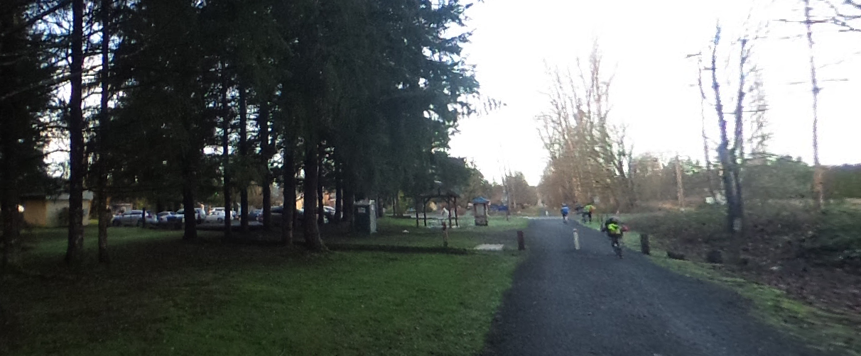 People cycling and walking on a paved path in a park. - Snoqualmie Valley Trail: Stillwater to Tolt-MacDonald Park