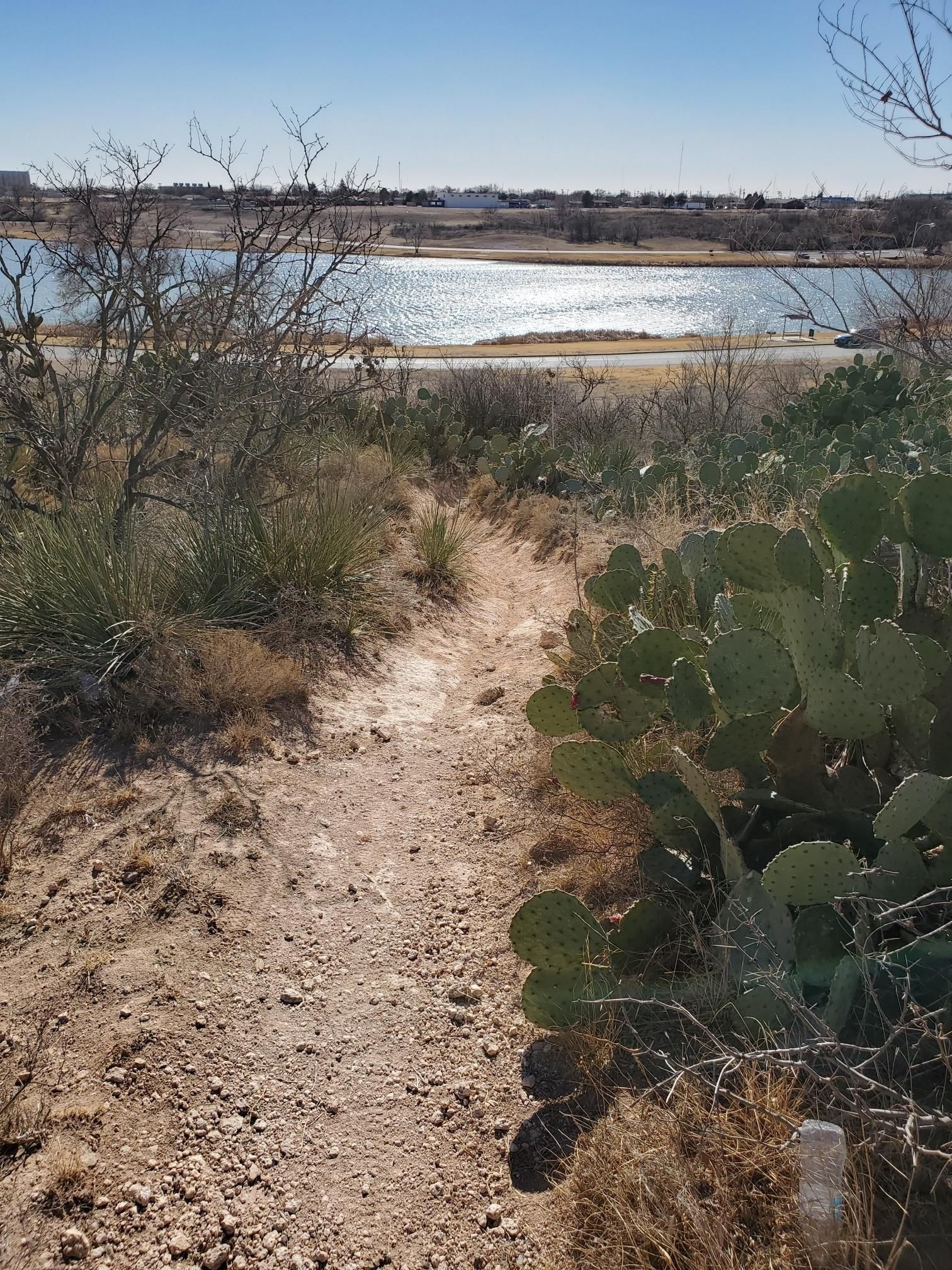 A dirt path descends towards a sunlit lake with scrub and cactus. - Dunbar Historic Lake – Dunbar Historical Lake Park loop from Lubbock County