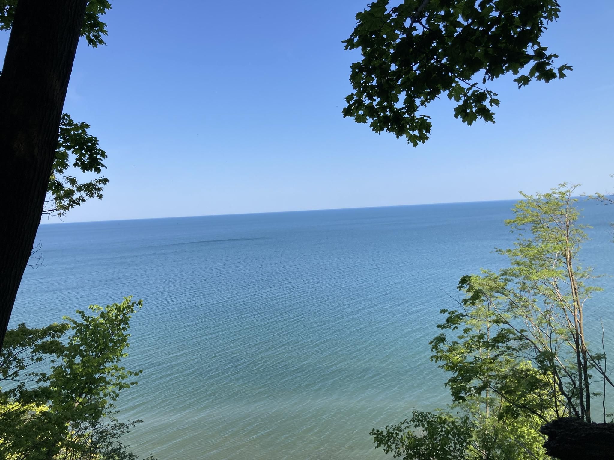 Bright view of blue water framed by green trees under clear sky. - View of Lake Erie – Bluff Trail loop from Erie Bluffs State Park