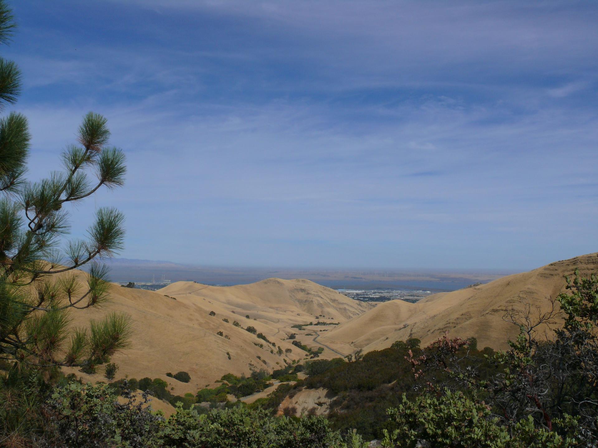 Golden hills slope towards a distant body of water under a clear sky.
