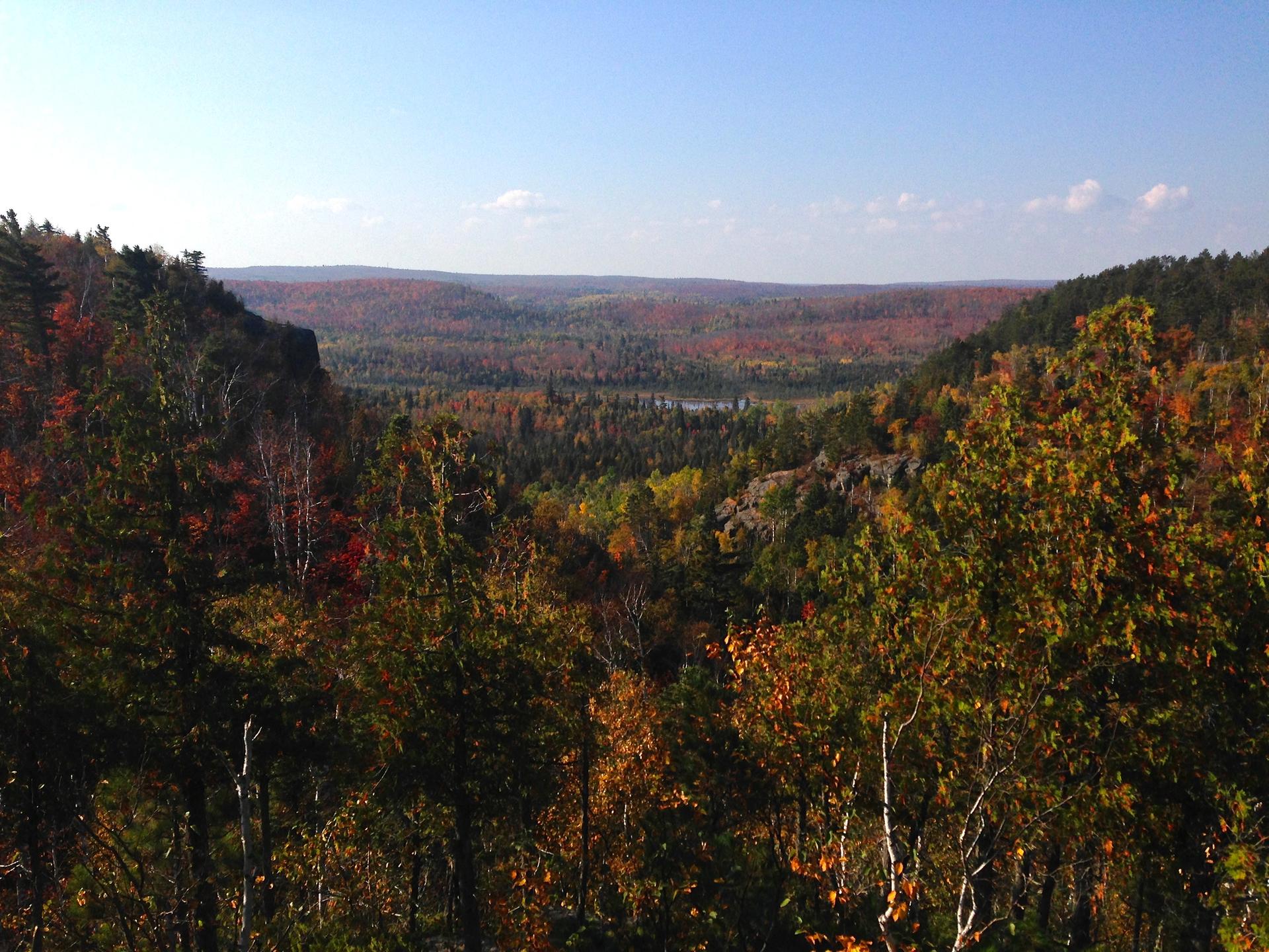 Vast autumn forest valley with distant water under a bright blue sky.