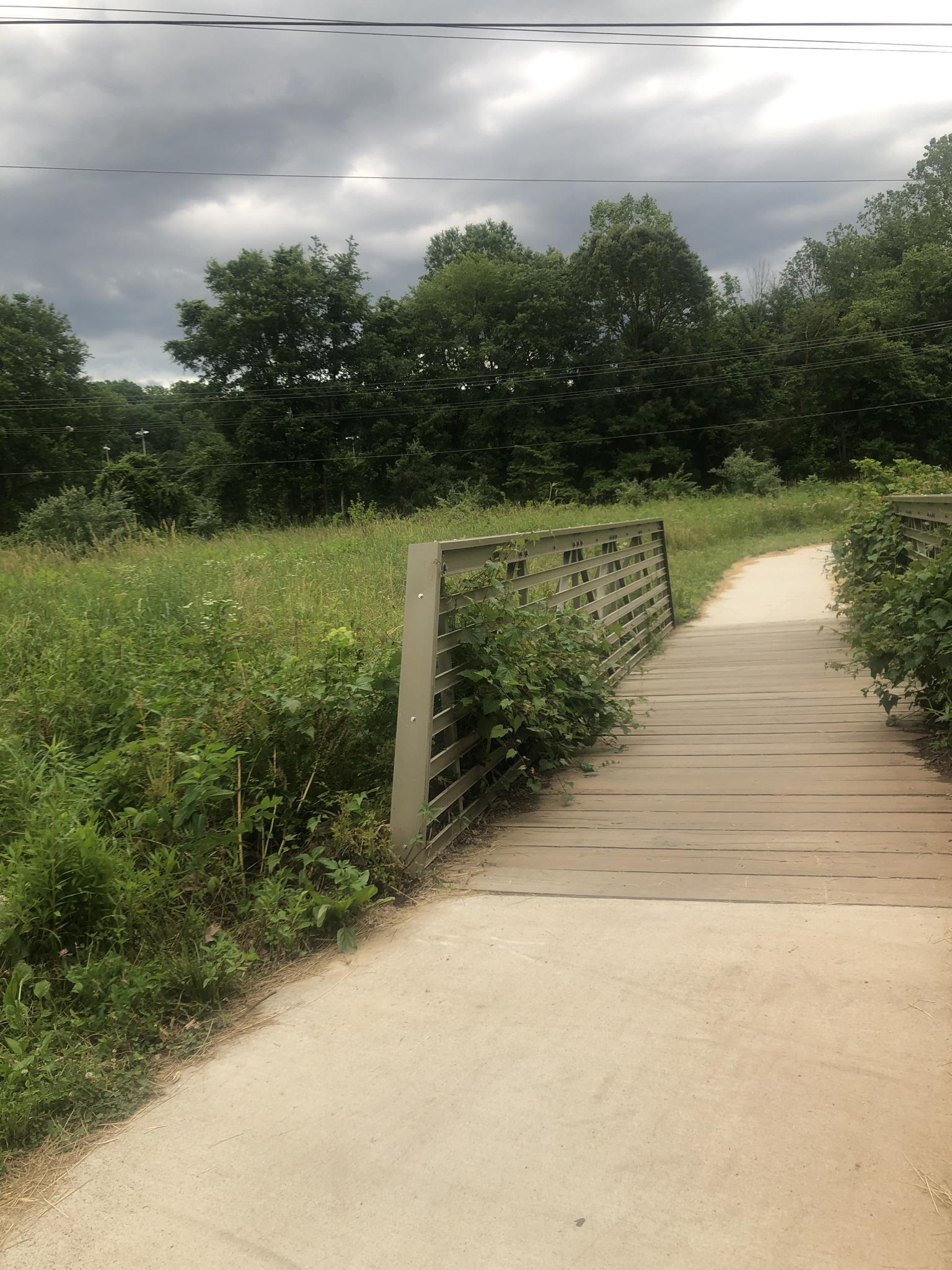 A paved path transitions to a wooden bridge in a lush green landscape under cloudy skies.