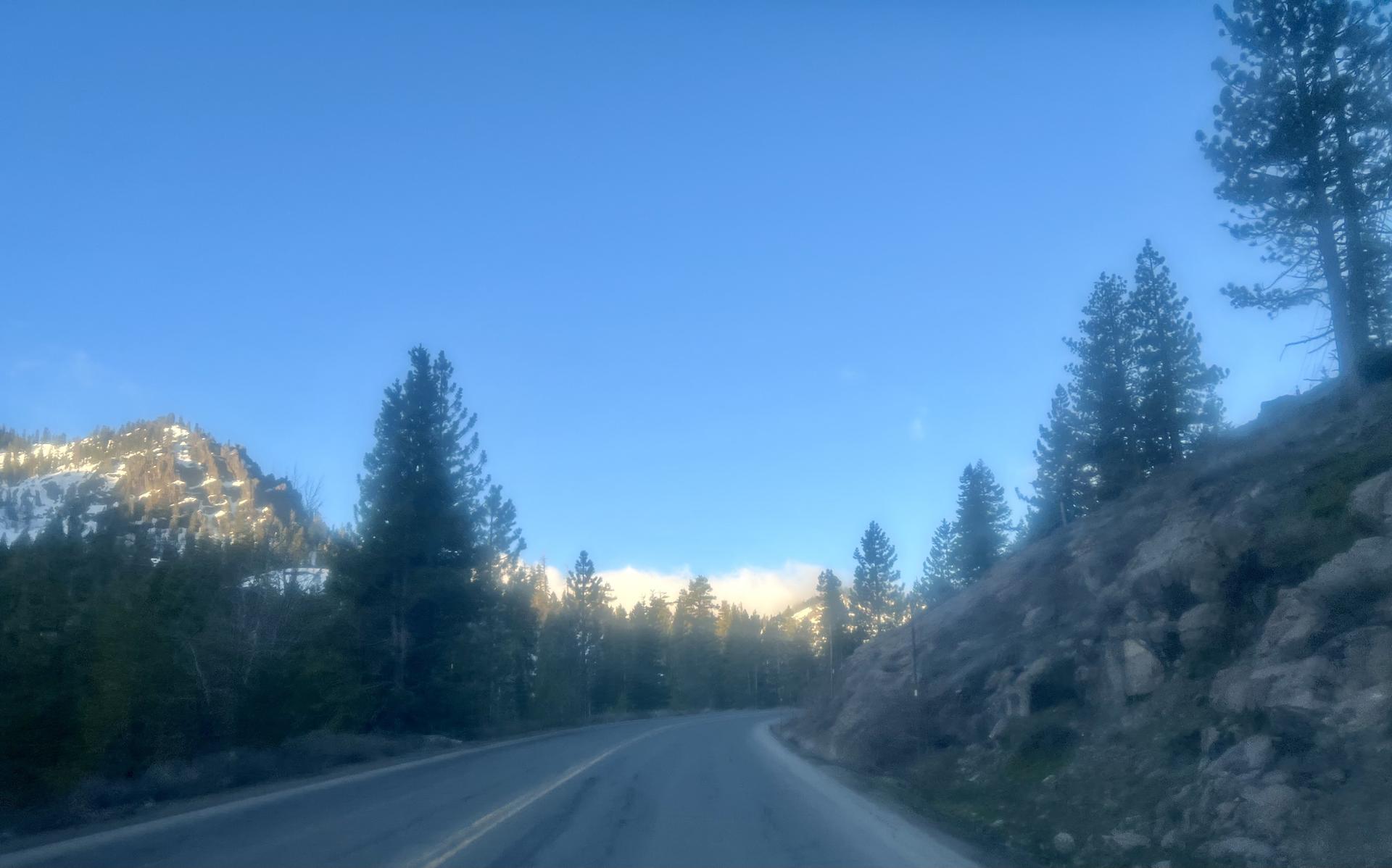 Paved road winds through pine trees with a snowy mountain under clear sky.