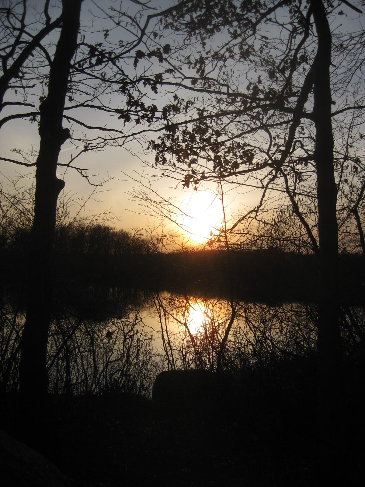 Golden sunset reflecting on water, framed by silhouetted trees.