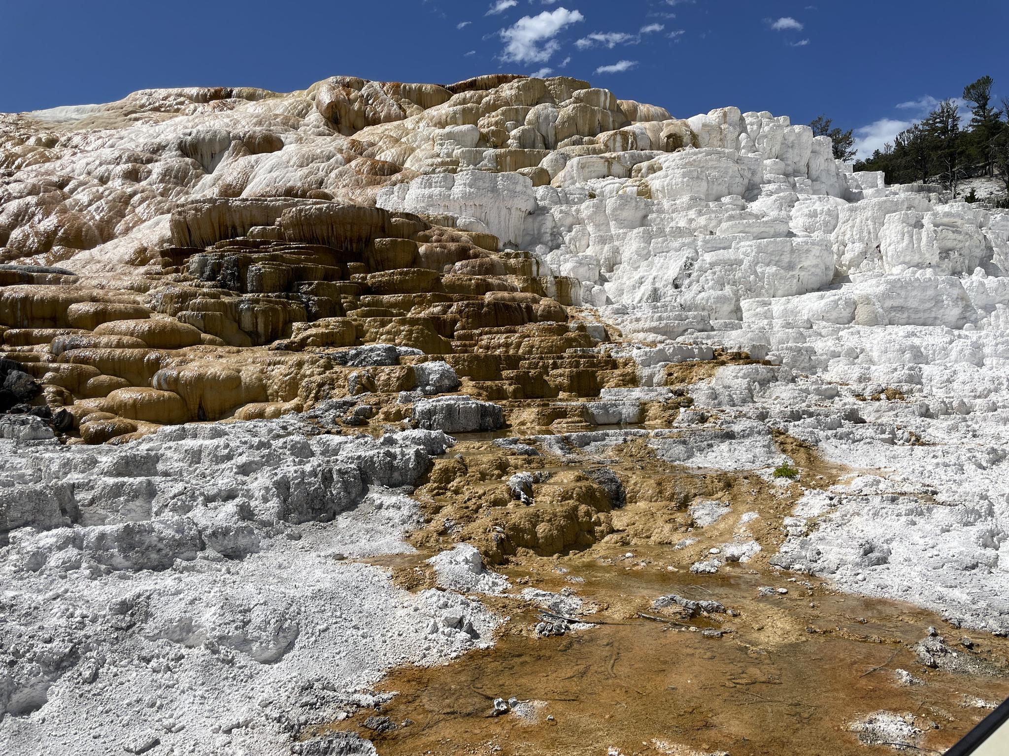 Close-up of white and brown mineral terraces with flowing water under a bright sky.