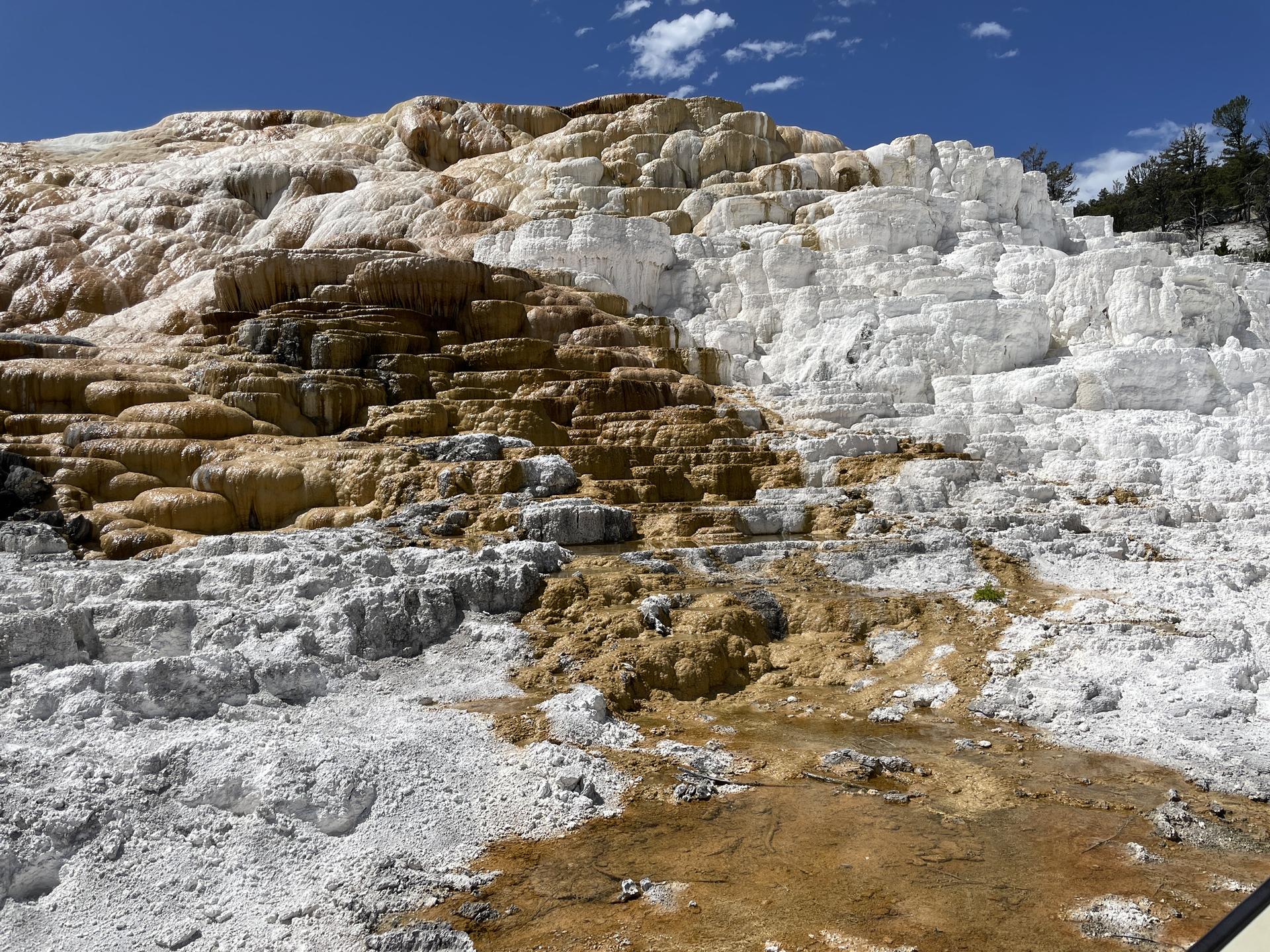 Close-up of white and brown mineral terraces with flowing water under a bright sky.