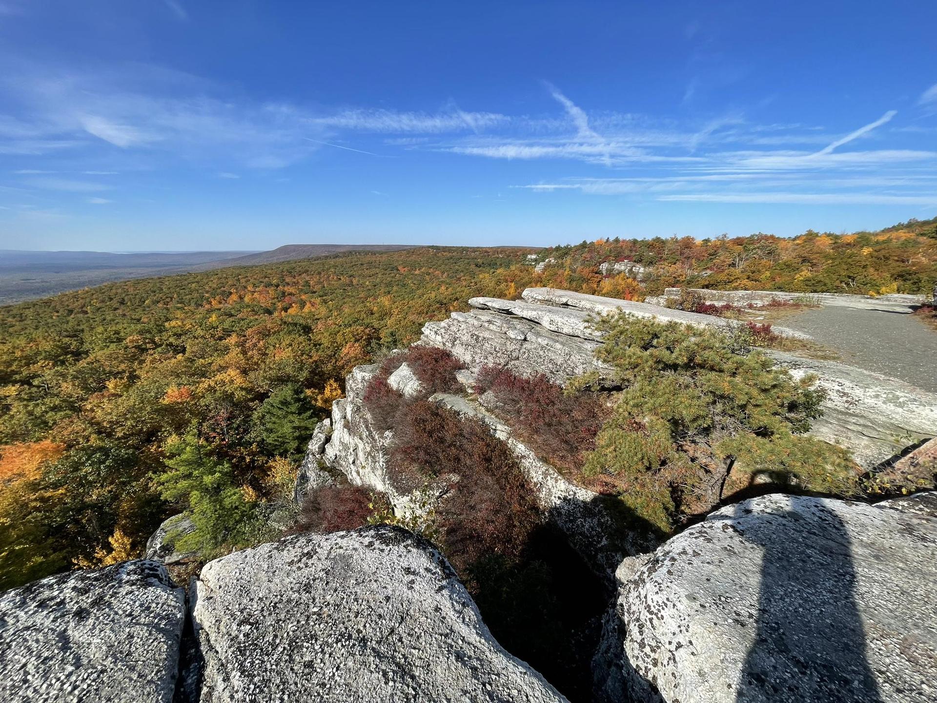 Sunny autumn view of colorful forest and rugged rocky cliffs under blue sky.