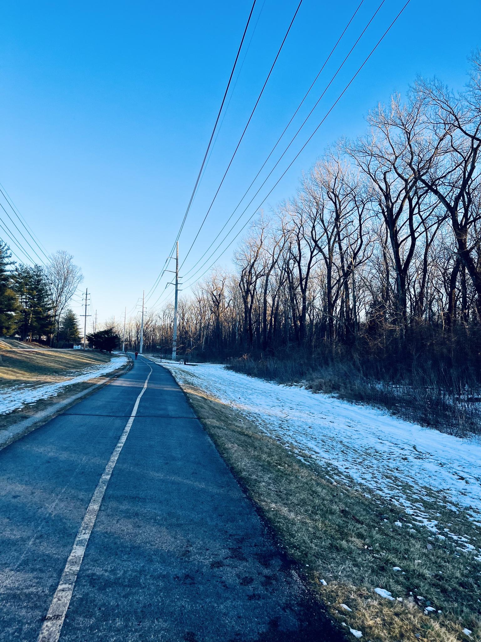 A paved path with snow alongside bare trees under a bright blue sky.