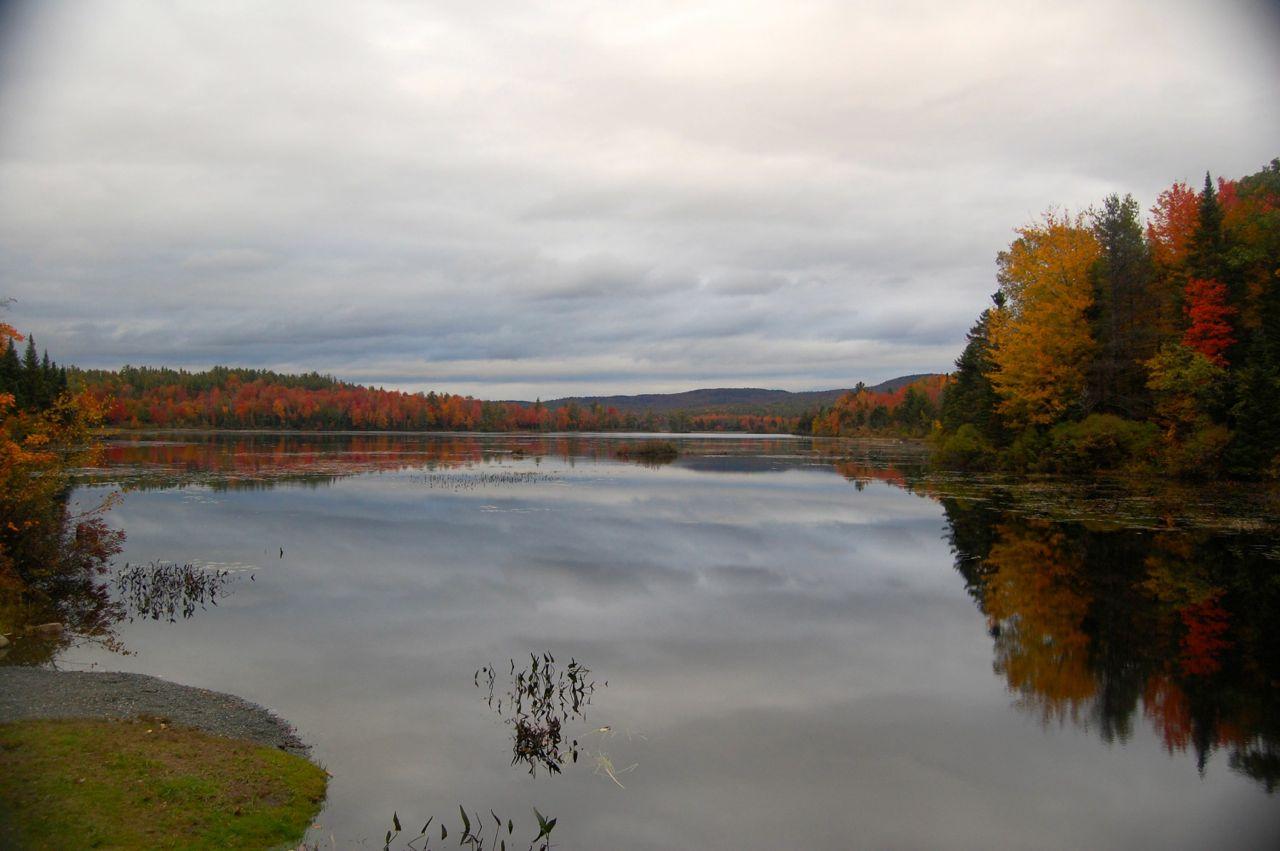 A serene lake reflects vibrant autumn trees under an overcast sky.