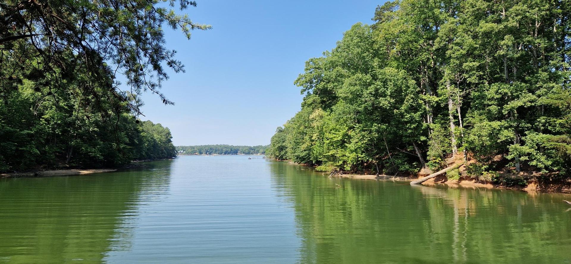 Calm green water surrounded by dense green trees under a clear blue sky.