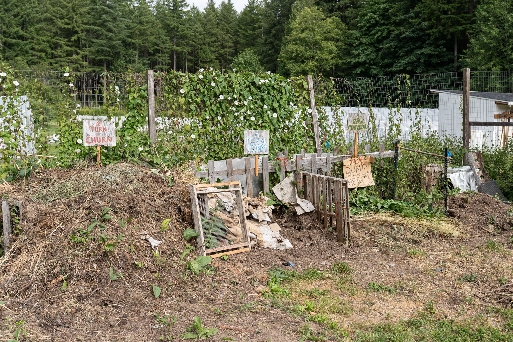 Daylight view of a rustic community garden with compost piles and signs. - Geoduck Beach and Organic Farm Loop