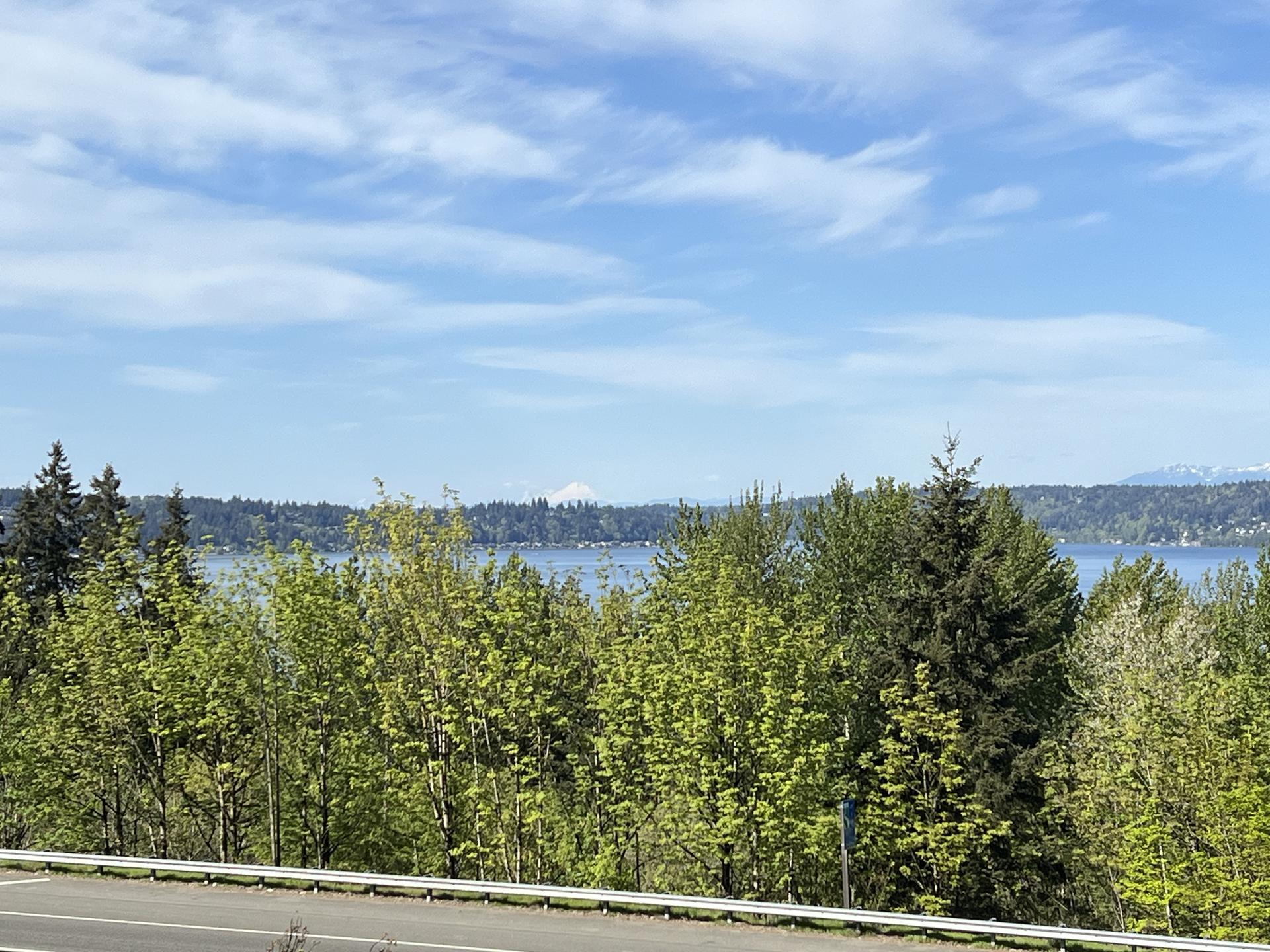 Expansive water view with green trees and a distant mountain under blue sky.