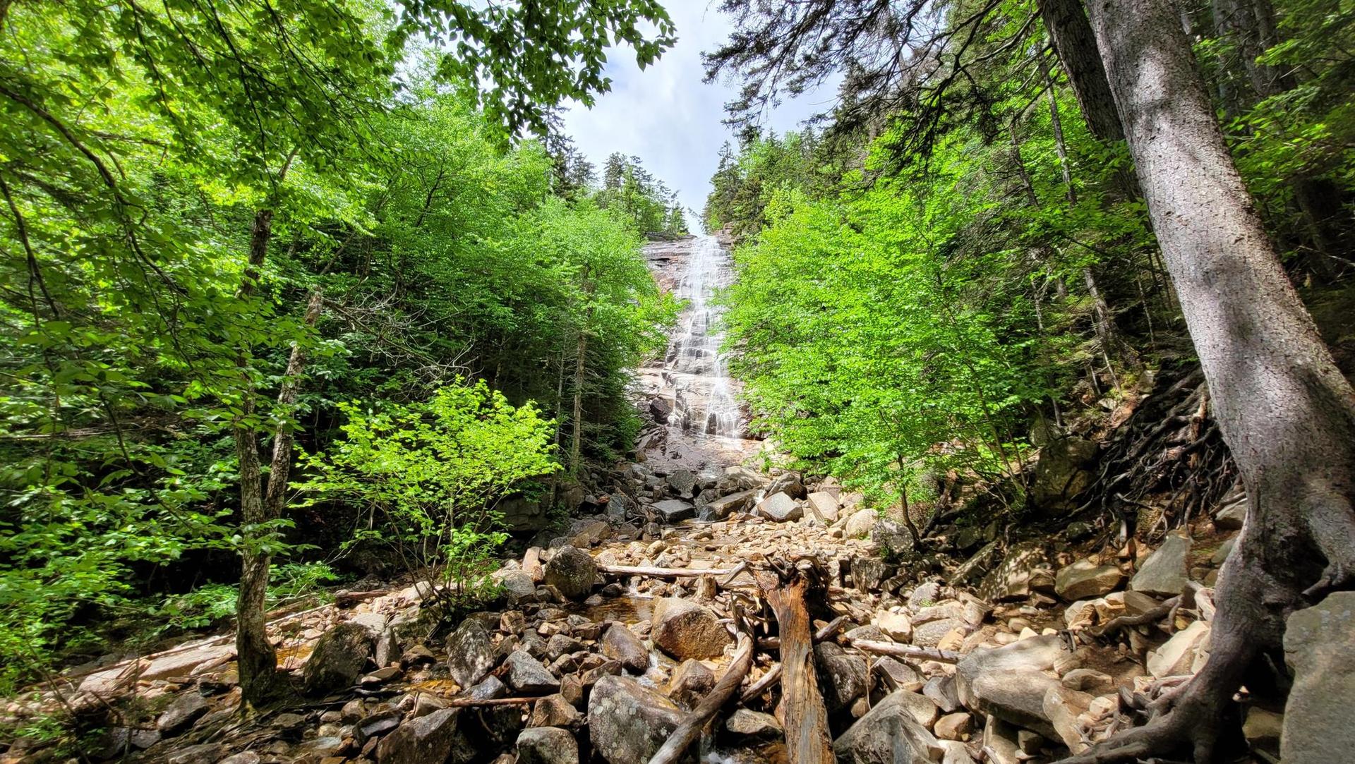 Waterfall cascading down a rocky cliff, surrounded by lush green trees.