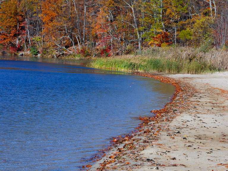 Wawayanda Lake : Radtouren und Radwege | komoot