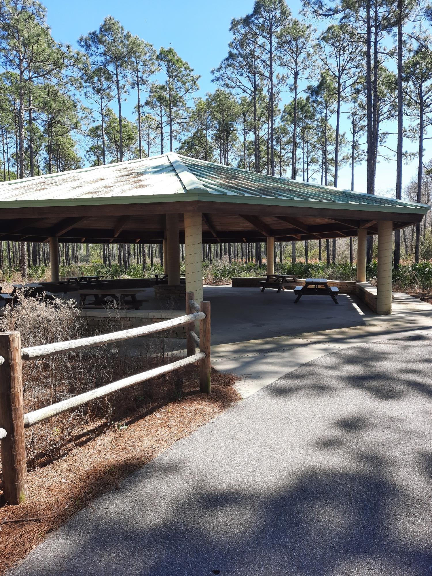 A covered picnic pavilion with tables sits among tall pine trees.