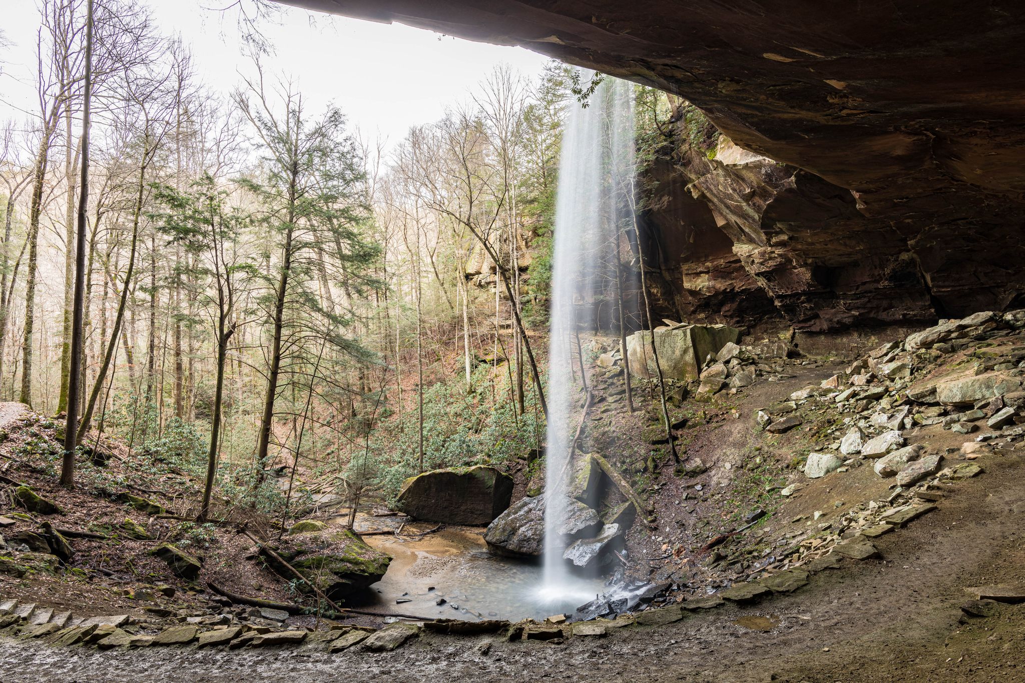 A tall waterfall plunges into a rocky pool under a large rock overhang. - Sheltowee Trace and Negro Creek Trail Loop