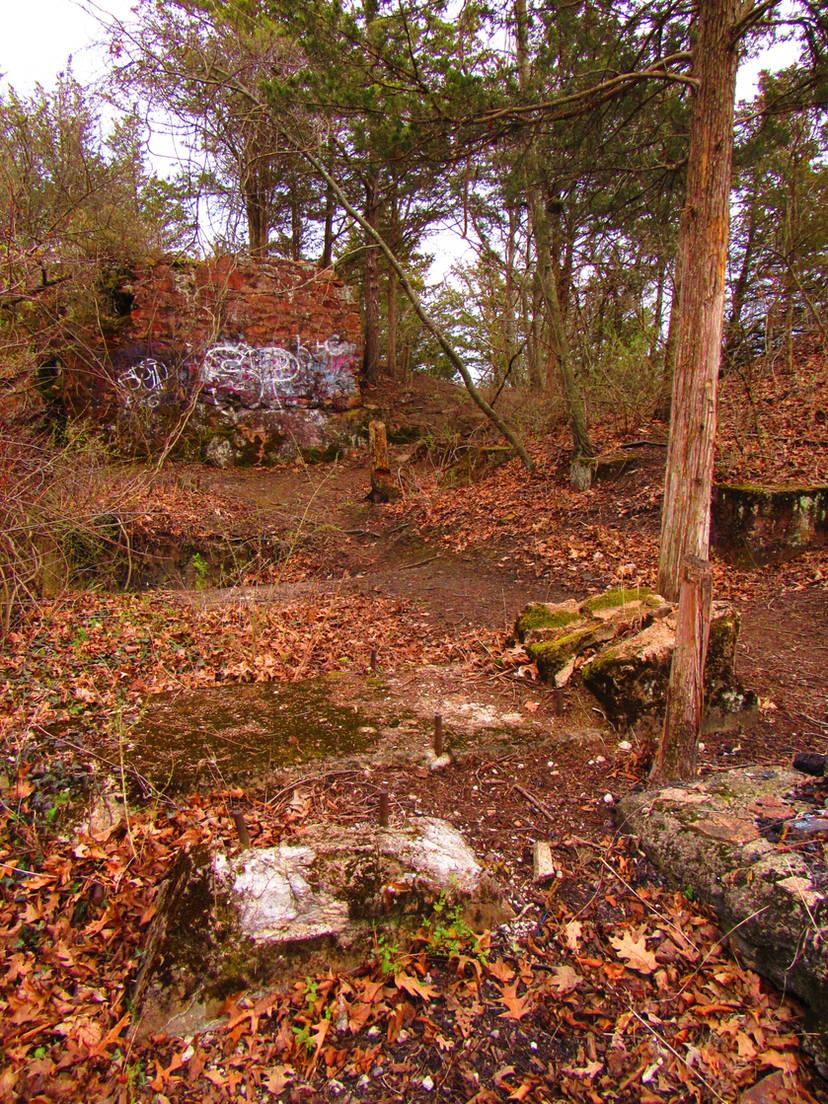 Overgrown forest with brick ruins covered in graffiti under an overcast sky.