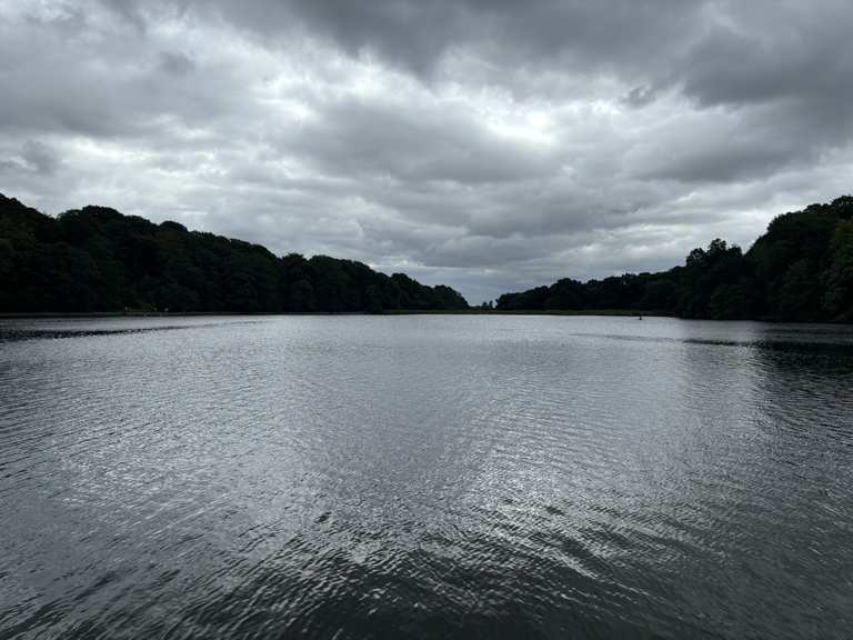 Waterloo Lake Trail Waterloo Lake Runde von Lady Wood Wanderung
