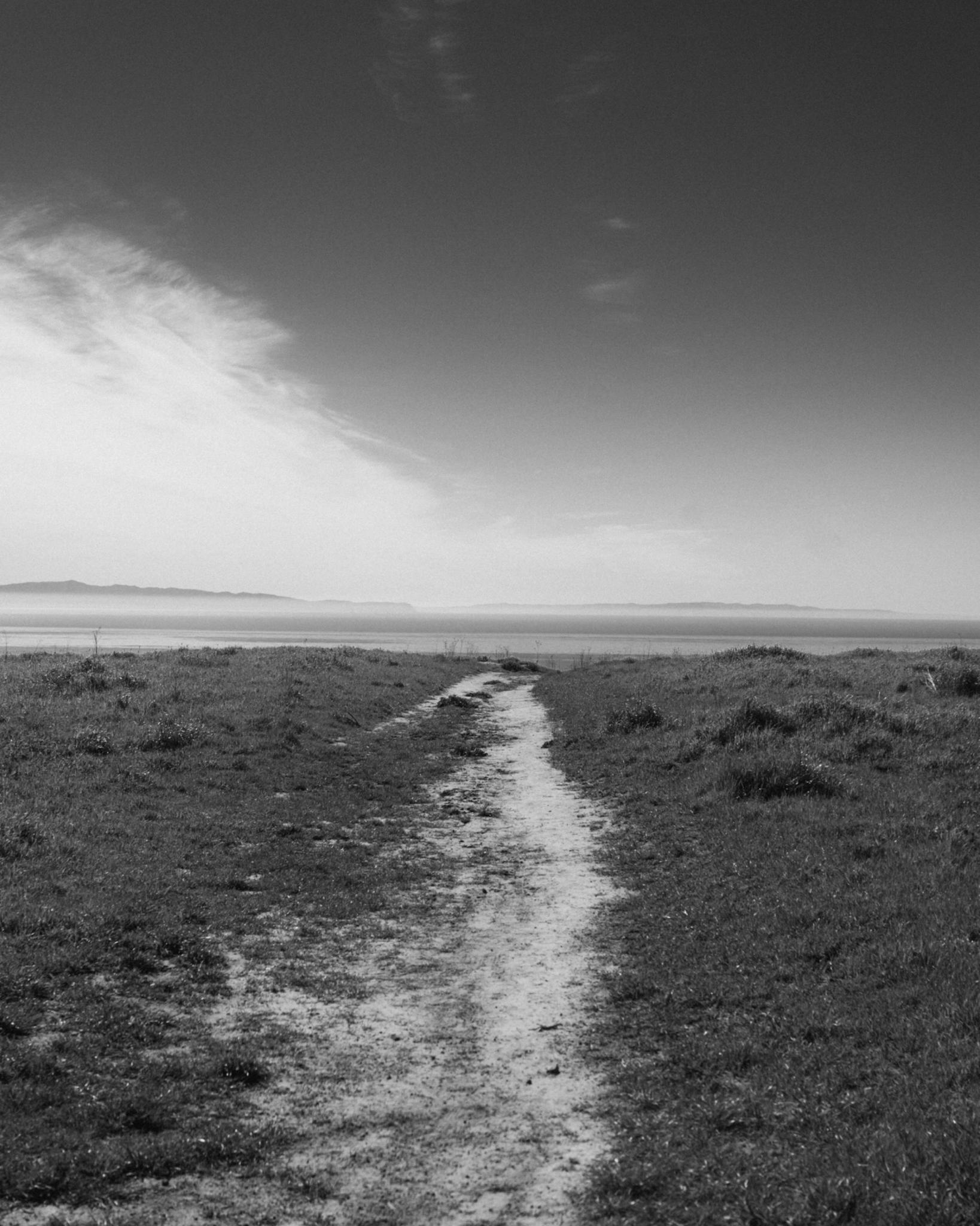 Grassy path leads to a calm body of water under a bright sky.