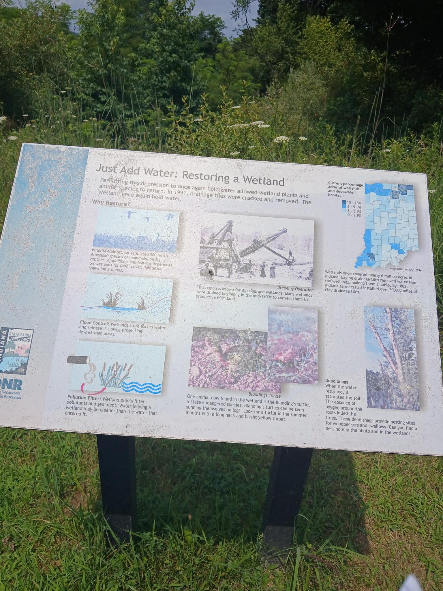 An outdoor informational sign about wetland restoration stands amidst green foliage in daylight.